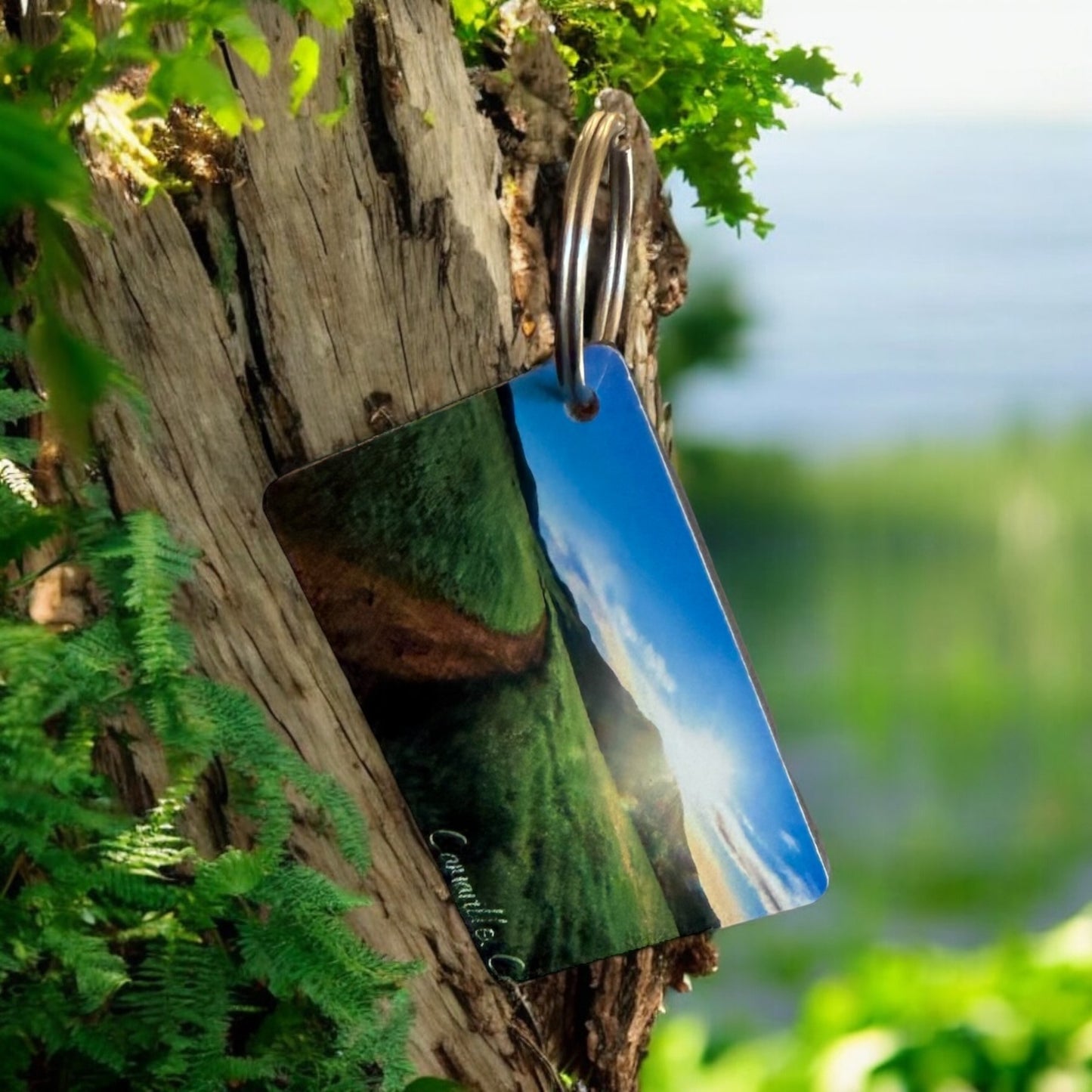 Landscape