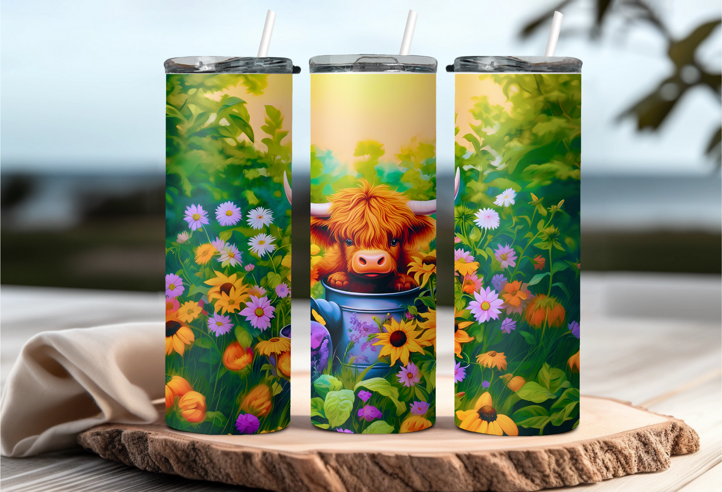 Highland cow
